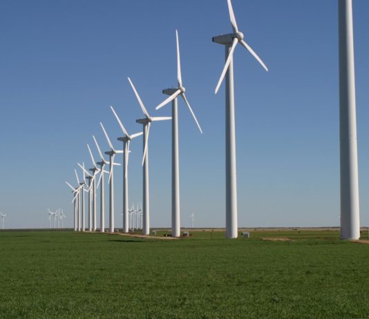 Africa on the front foot in the green energy race