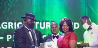 Yara wins Diversified Fertilizer Company of the Year award