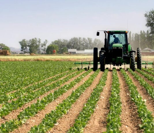 GM crops, best killer of soil microbes, booster of crop yields