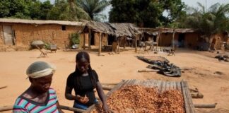 GARDJA urges speedy operationalisation of cocoa farmers’ welfare fund