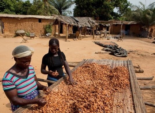GARDJA urges speedy operationalisation of cocoa farmers’ welfare fund