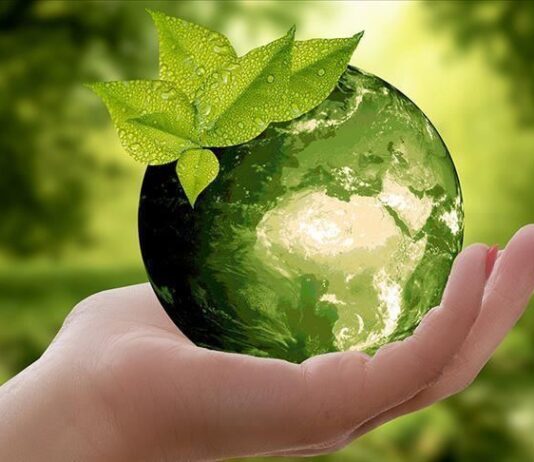 Green Recovery: an alternative for COVID-induced economic recession