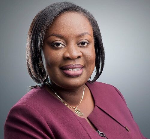 Investor confidence key to our resilience – Republic Investments CEO