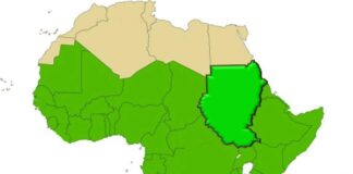 Charting a path for a resilient recovery in sub-Saharan Africa