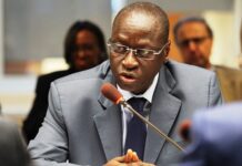 World Bank sets ambitious targets for Green and resilient economic growth in Africa