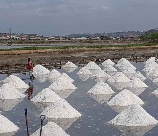 Panbros Salt Industries disturbed over construction of cement factory near concession