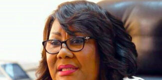 Rotate auditors in accordance with Companies Act – Registrar General to companies