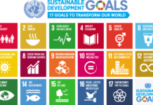 Creative Arts – A means to attain the SDGs