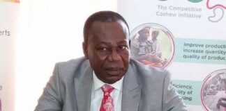 Gov’t exploring international collaboration to boost local cashew processing