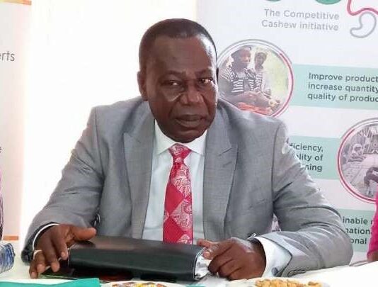 Gov’t exploring international collaboration to boost local cashew processing