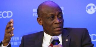 Prepare for an austerity year – Terkper warns