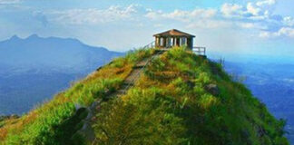 This is Leadership: Understanding targets from another viewpoint