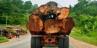 Ghana to miss Dec. 2020 target to issue Timber legality Licenses due to COVID 19