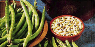 PBR cowpea researchers lauded for maintaining protocols