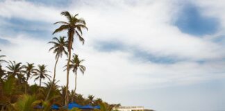 Feature: The effect of COVID-19 on beaches