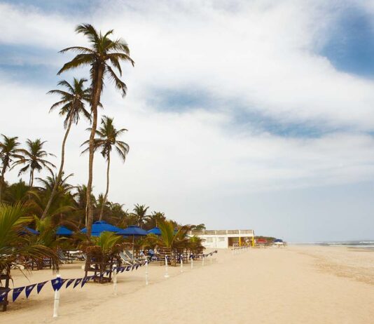 Feature: The effect of COVID-19 on beaches