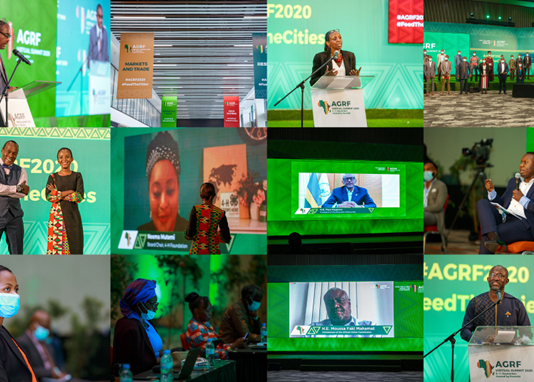 2020 AGRF Virtual Summit: A call to action to use Africa’s strength to transform agriculture in COVID-19 era
