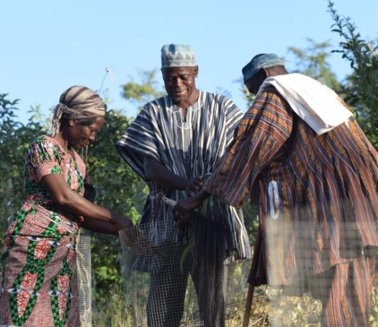 Feature: Balancing economic growth and depletion of resources