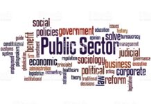 Public sector must take the lead in capital market dev’t