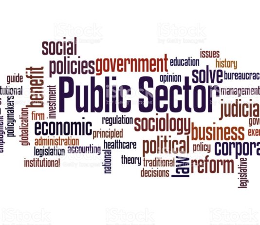 Public sector must take the lead in capital market dev’t