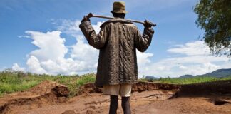 Key insights into land degradation from seven African countries