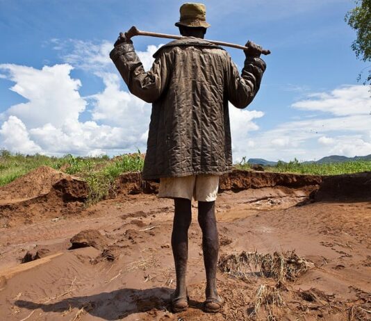 Key insights into land degradation from seven African countries