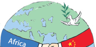 Feature: Why are African institutions attracted to China?