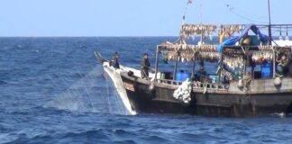 Workers report appalling abuse aboard Chinese-owned fishing vessels
