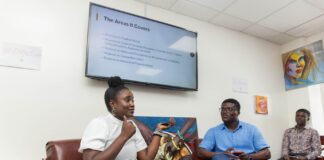 Feature: Exploring resilient business models & the AfCFTA opportunity