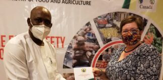 Food safety is critical to COVID-19 response