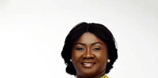 Business repositioning important for AfCFTA – STN prez