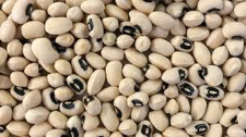First GMO cowpea seeds expected for 2021/22 season … to reduce insecticide use and increase yield