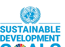 Revise SDGs targets due to COVID-19 impact – MPs to UN