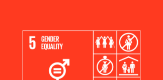 Building resilience among women at the workplace to achieve SDG5