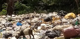 Sanitation Ministry begins evacuation of illegal dumpsites in Ashanti Region