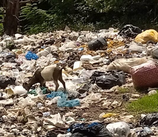 Sanitation Ministry begins evacuation of illegal dumpsites in Ashanti Region