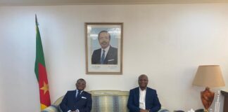 Sunon Asogli Power, AWA to explore opportunities in Cameroon