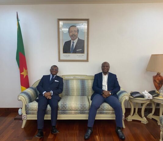 Sunon Asogli Power, AWA to explore opportunities in Cameroon