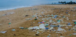 Party manifestoes neglected environment and natural resources – CSOs