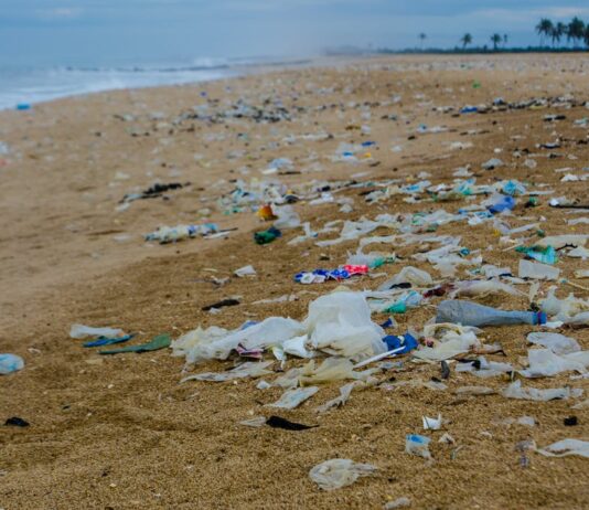 Party manifestoes neglected environment and natural resources – CSOs