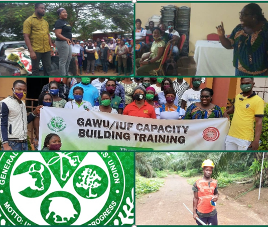 GAWU & our 60 years of promoting decent work in agriculture