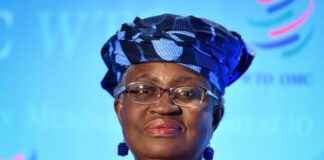 EU backs Okonjo-Iweala as World Trade Organisation’s new director