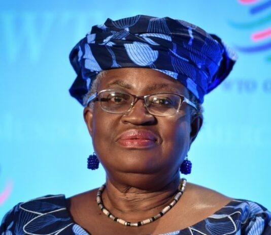 EU backs Okonjo-Iweala as World Trade Organisation’s new director