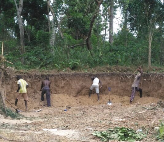 Sand winning destroying cocoa farms in Ashanti Region