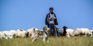 This is Leadership: One rod one route