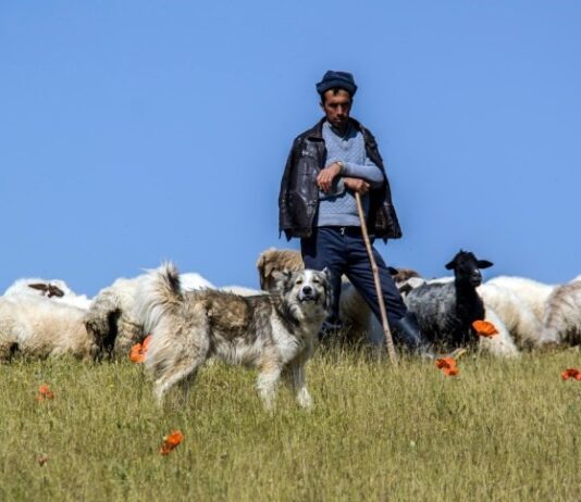 This is Leadership: One rod one route