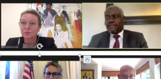 Virtual Dialogue of African Union Partner Group on AU Reforms and AUDA-NEPAD Transition