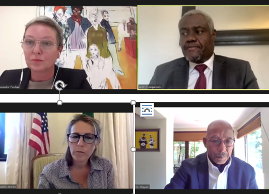 Virtual Dialogue of African Union Partner Group on AU Reforms and AUDA-NEPAD Transition