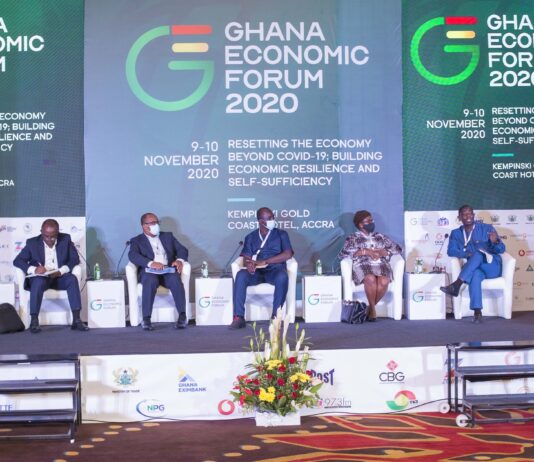 Gas, nuclear power secure economy’s energy future – Energy Minister