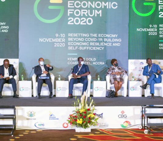 Time to commit to nuclear power to boost industralisation agenda – NPG boss